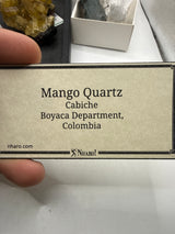 @mangomania2024