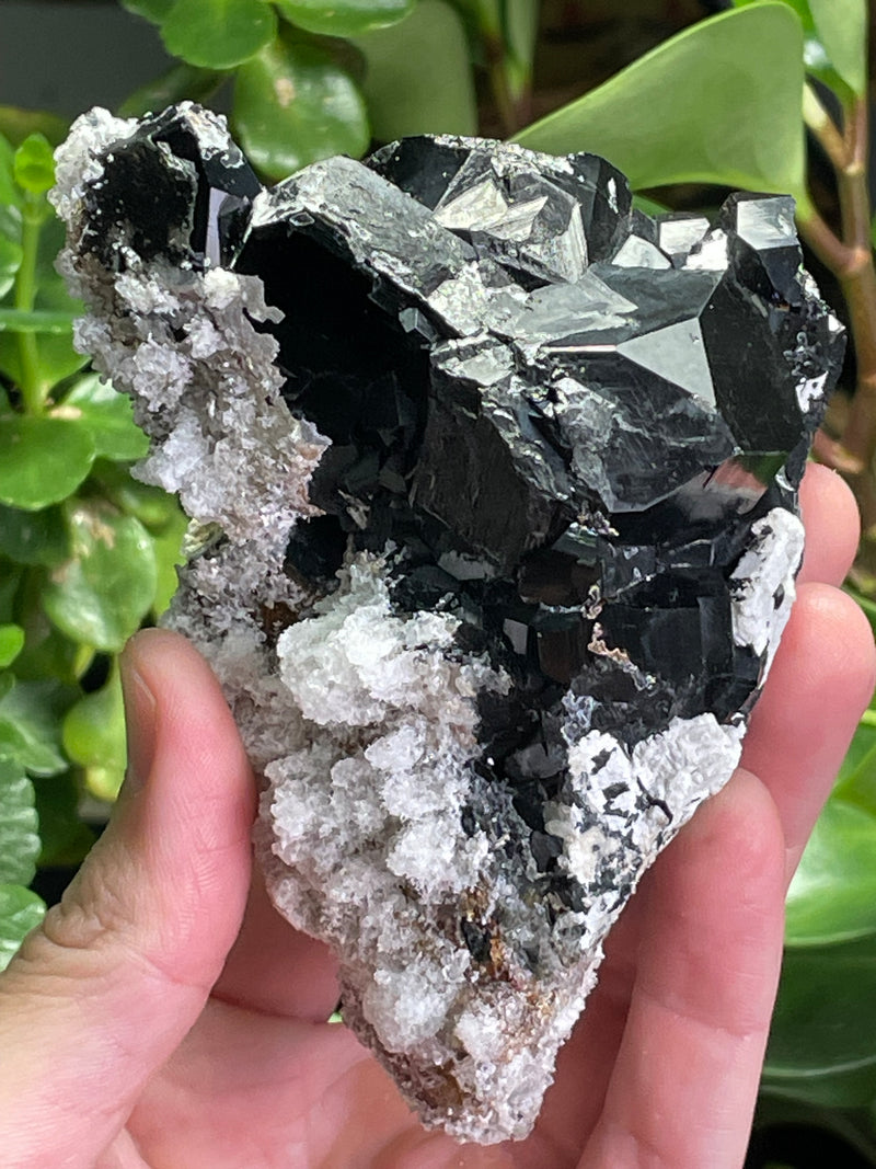 Black Tourmaline Specimen with Aquamarine and Hyalite Opal from Erongo Mountain, Erongo Region, Namibia