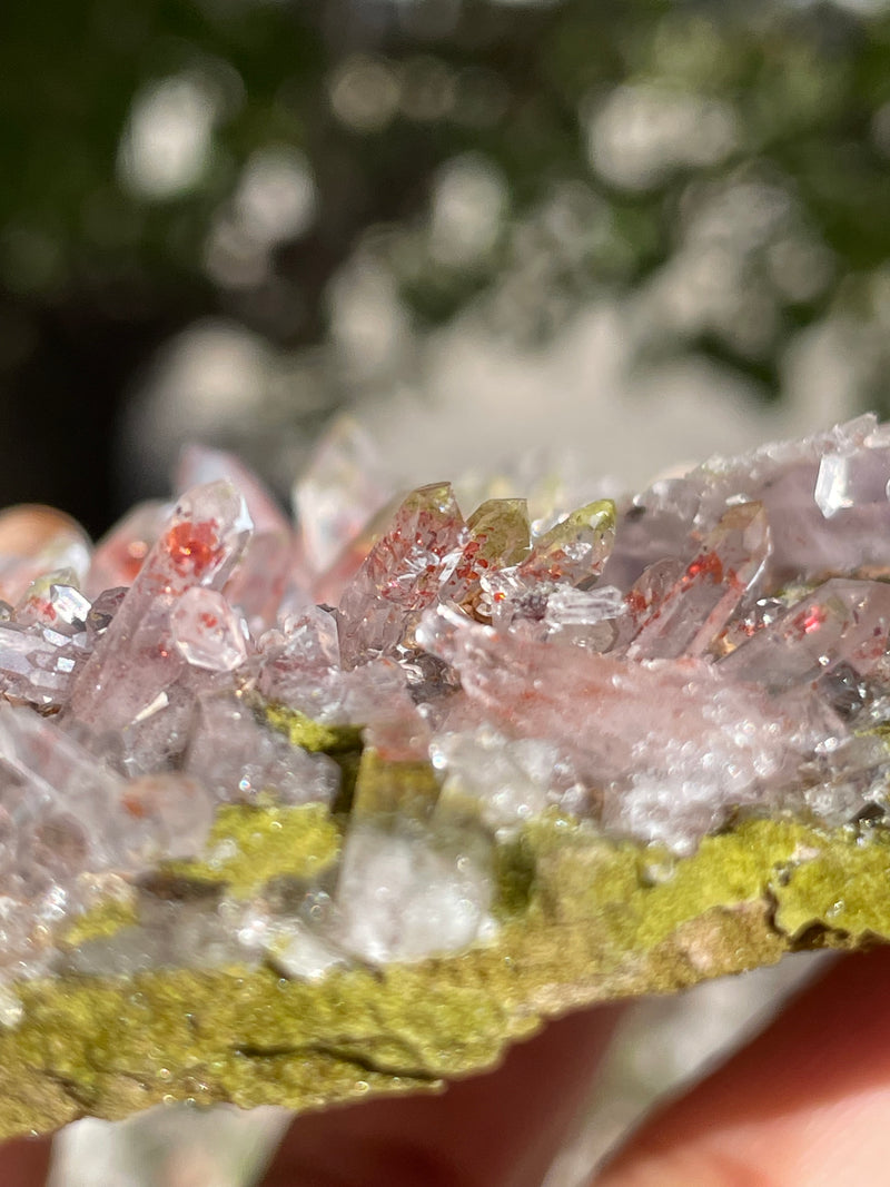 Harledote Brandberg Quartz (2nd pocket) from Goboboseb Mountains, Erongo Region, Namibia