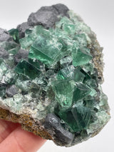 UK Fluorite with Galena from the Greedy Hog Pocket, Diana Maria Mine, England
