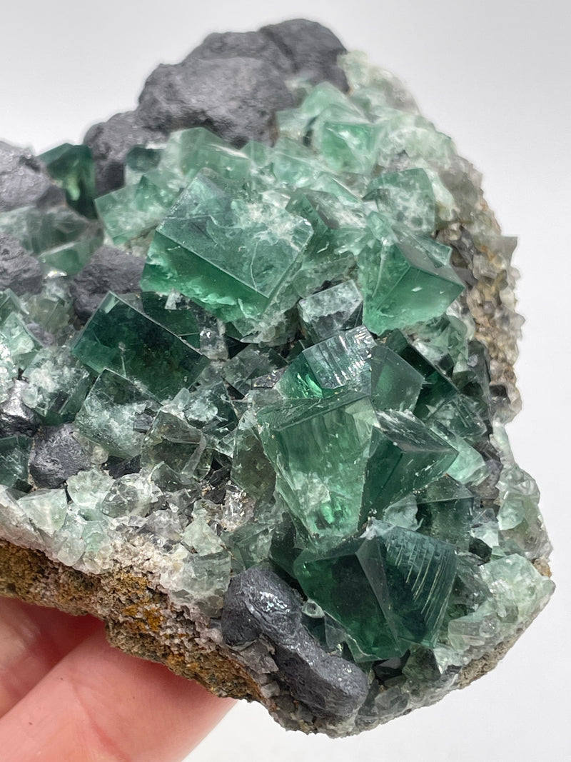 UK Fluorite with Galena from the Greedy Hog Pocket, Diana Maria Mine, England