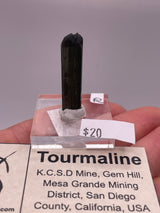 @mohlsen81 - Cretaceous Artifacts