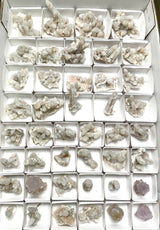 Cactus Quartz Wholesale Flat, 43 pieces from Mpumalanga, South Africa