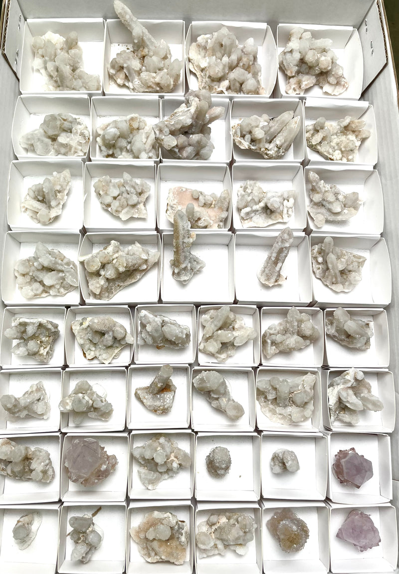 Cactus Quartz Wholesale Flat, 43 pieces from Mpumalanga, South Africa