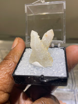 Open Japan Law Twin Quartz Perky from Madagascar