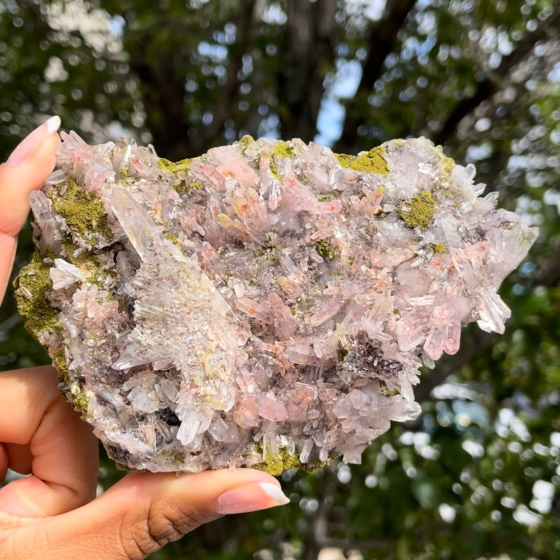 Harledote Brandberg Quartz (2nd pocket) from Goboboseb Mountains, Erongo Region, Namibia