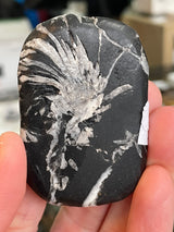 @exterra_crystals