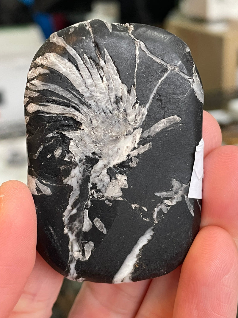 @exterra_crystals