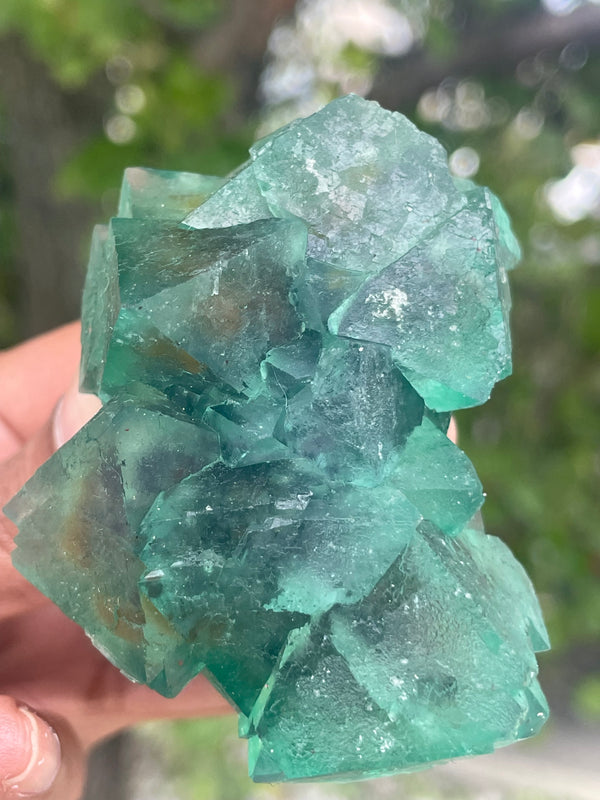 Orange River Fluorite from Riemvasmaak South Africa