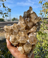 Kundalini Citrine Cluster from Lwena, Katanga, Democratic Republic of Congo