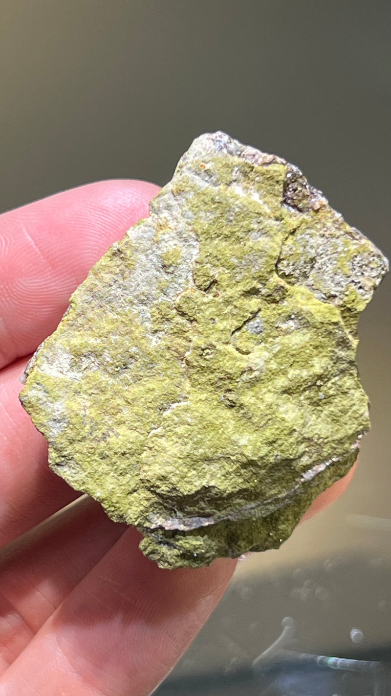 Harledote Brandberg Quartz (2nd pocket) from Goboboseb Mountains, Erongo Region, Namibia