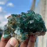 Top Shelf Fluorite, Okorusu Mine, Otjiwarongo Region, Karibib District, NAMIBIA