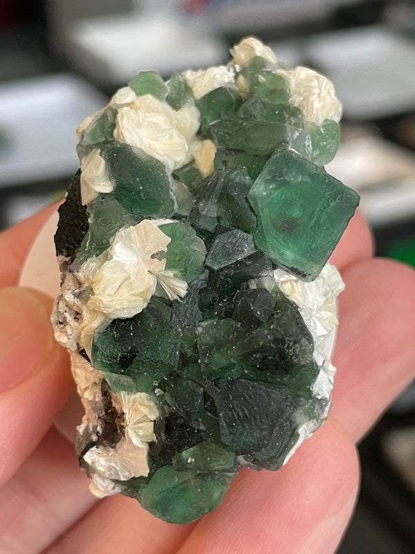 @ppate35 - PK