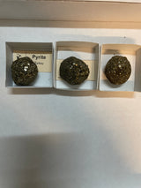 @HJW31 (hjw3150)