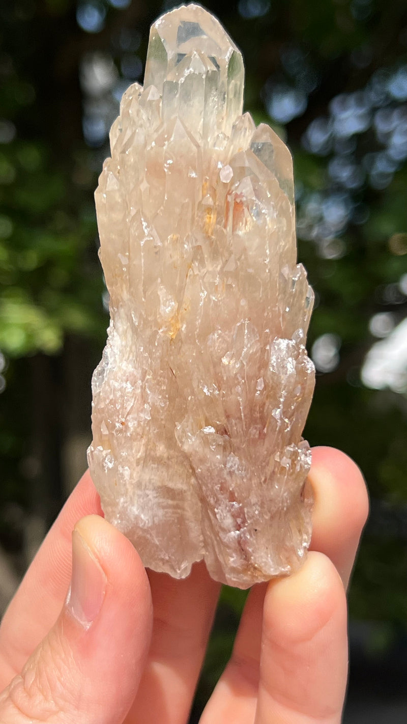 Kundalini Citrine Wholesale Flat 12 pieces from Democratic Republic of Congo