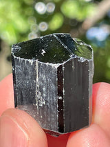 Black Tourmaline Flat 56 pieces from Namibia