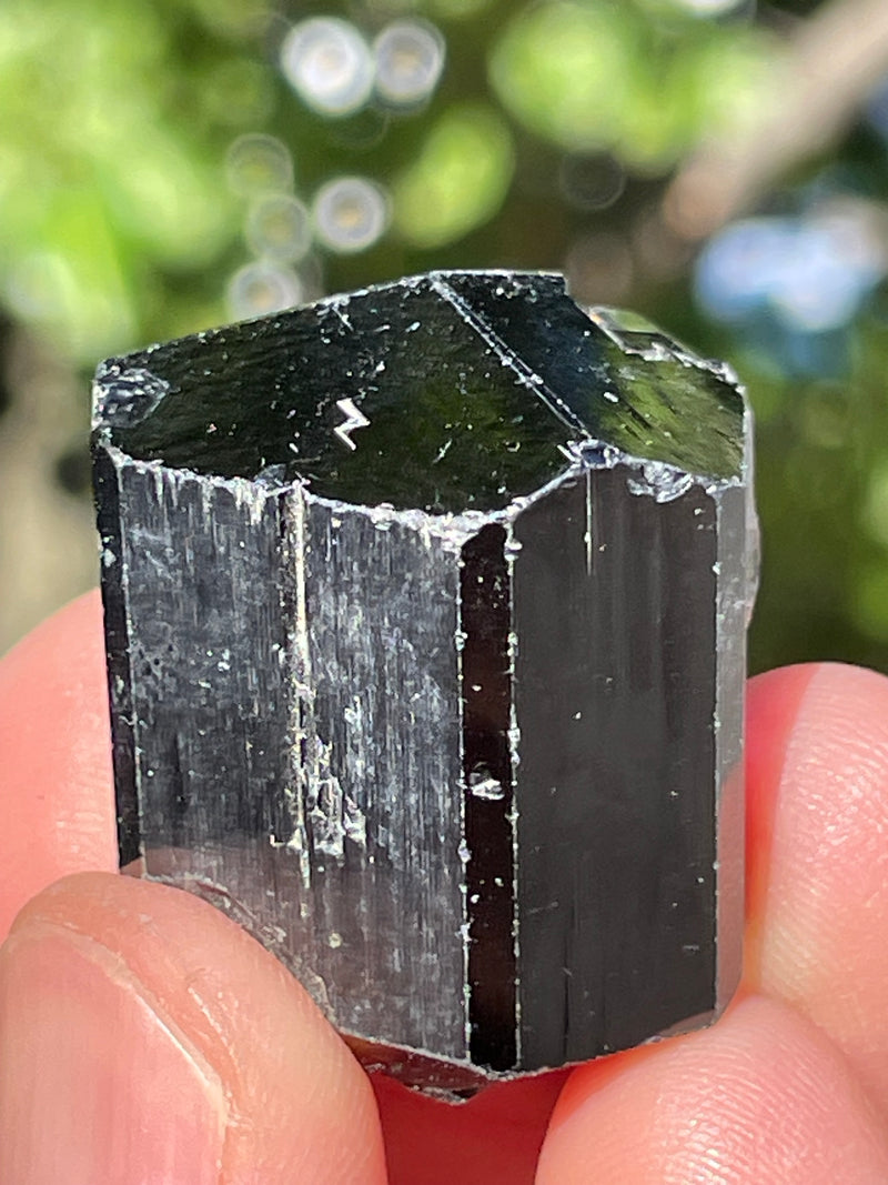 Black Tourmaline Flat 56 pieces from Namibia