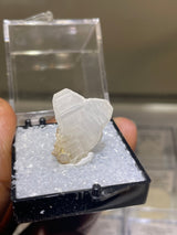 Closed Japan Law Twin Quartz Perky from Madagascar