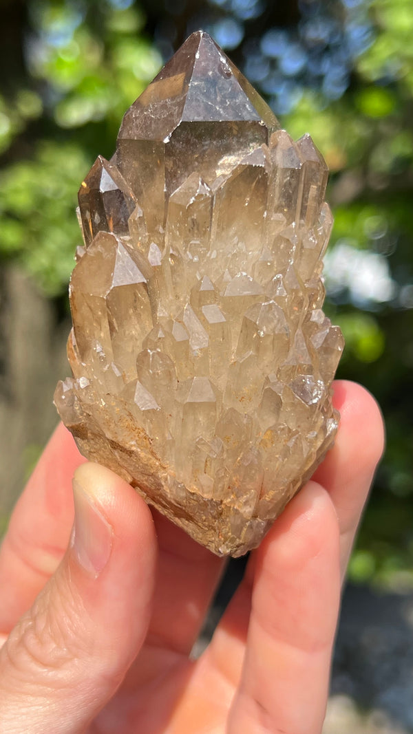 Kundalini Citrine Wholesale Flat 12 pieces from Democratic Republic of Congo