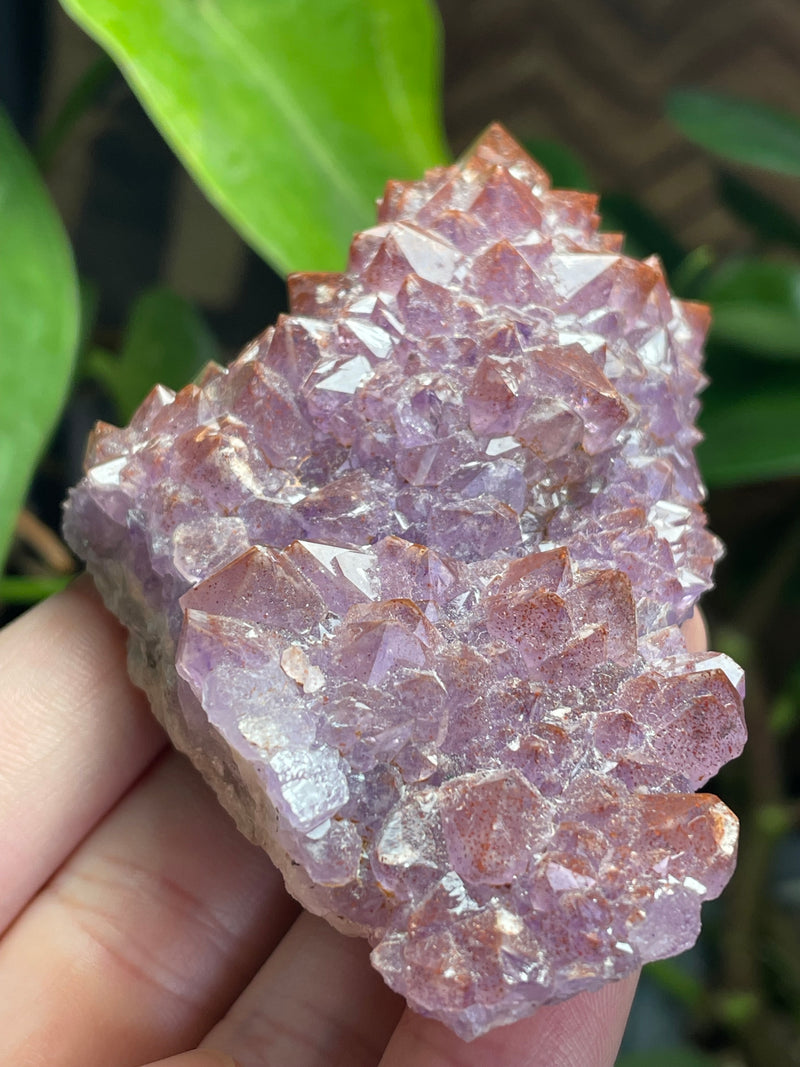 Amethyst from Diamond Willow Mine, Pearl, ON, Canada