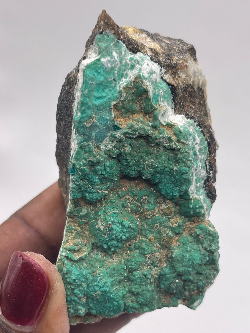 20 Piece Flat of Vibrant Chrysocolla with Malachite & Brochantite, from Usakos, Erongo Region, Namibia