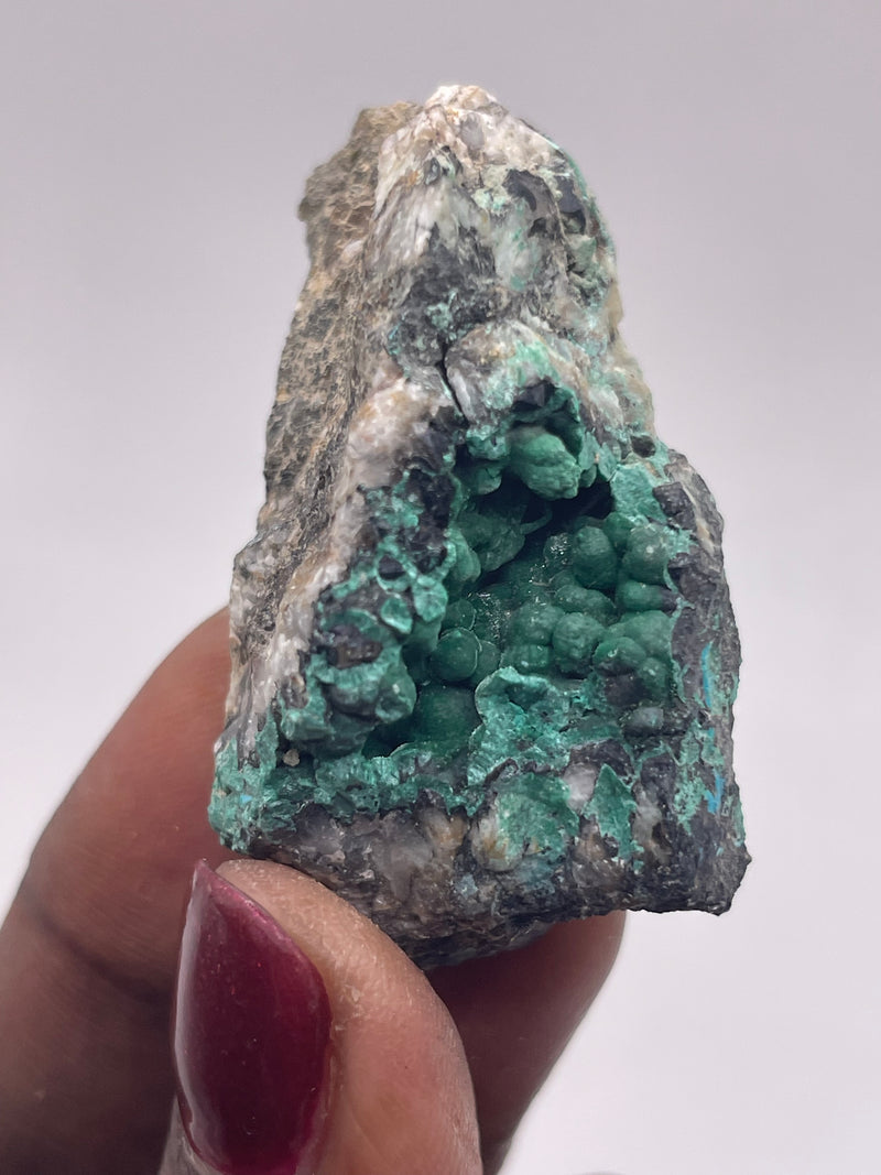 20 Piece Flat of Vibrant Chrysocolla with Malachite & Brochantite, from Usakos, Erongo Region, Namibia