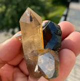 Smoky Quartz with Black Tourmaline from Erongo mountain, Erongo region, Namibia