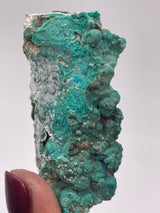 20 Piece Flat of Vibrant Chrysocolla with Malachite & Brochantite, from Usakos, Erongo Region, Namibia