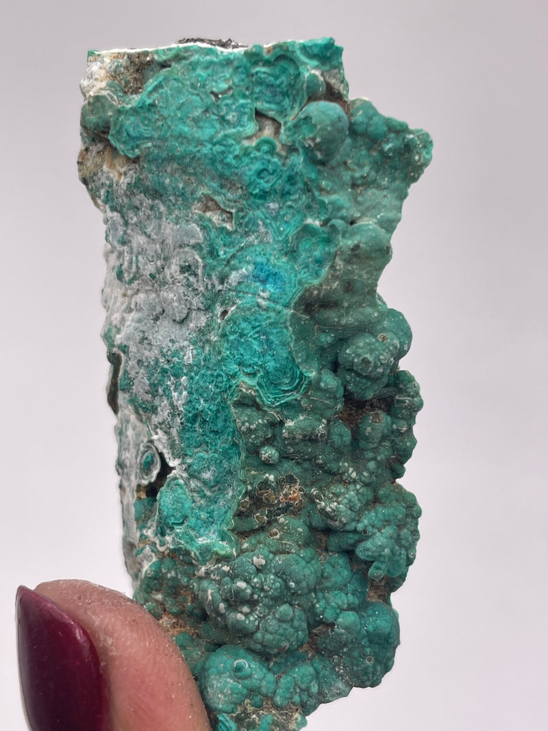 20 Piece Flat of Vibrant Chrysocolla with Malachite & Brochantite, from Usakos, Erongo Region, Namibia