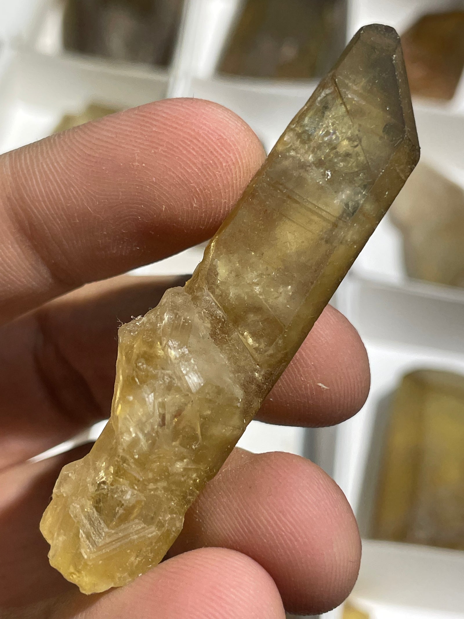 Natural Citrine hot DT Point Elestial Crystal Large Wand Zambia Congo Quartz Double terminated smoky yellow untreated unheated zambian