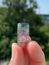 Watermelon Tourmaline from Taquaral, Minas Gerais, Brazil