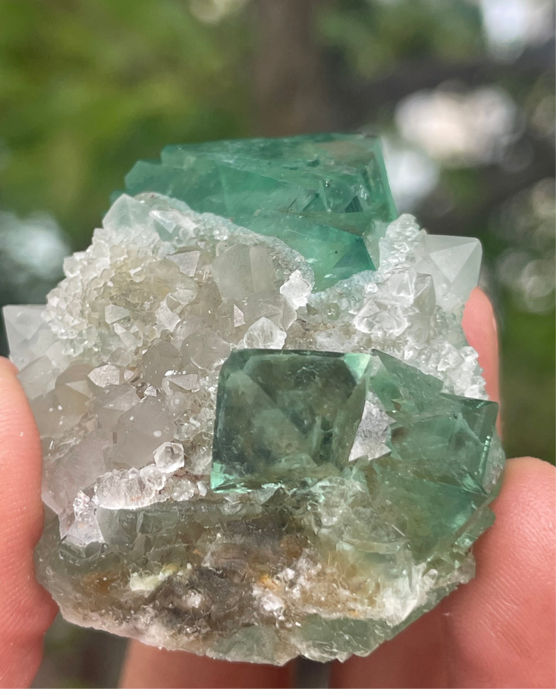 Orange River Fluorite from Riemvasmaak South Africa