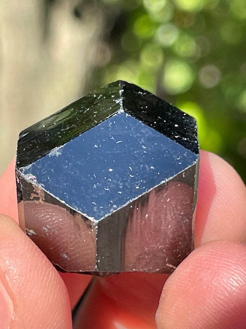 Black Tourmaline Flat 56 pieces from Namibia