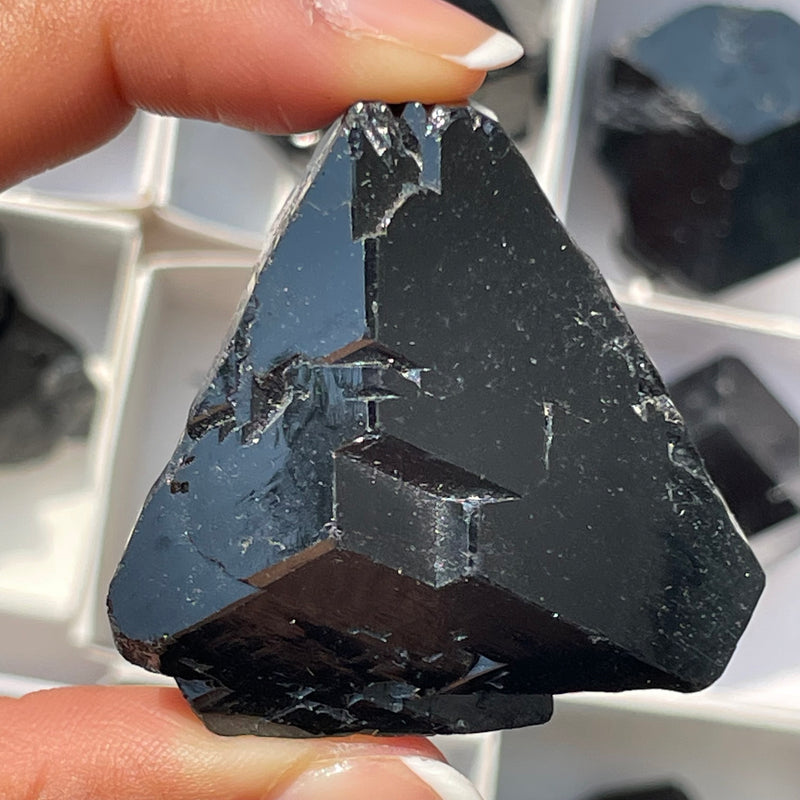 Black-Tourmaline-Wholesale-Flat-35-pieces-Erongo-Mountain-Namibia-2.722kg-04