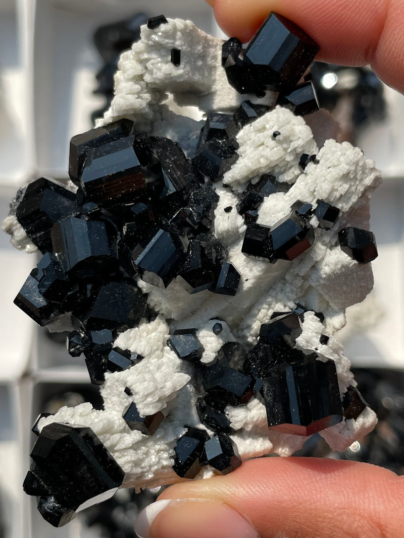 Black-Tourmaline-Wholesale-flat-from-Erongo-Mountains-04