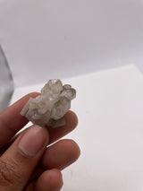 melcavis1