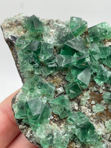 UK Fluorite from the Greedy Hog Pocket, Diana Maria Mine, England