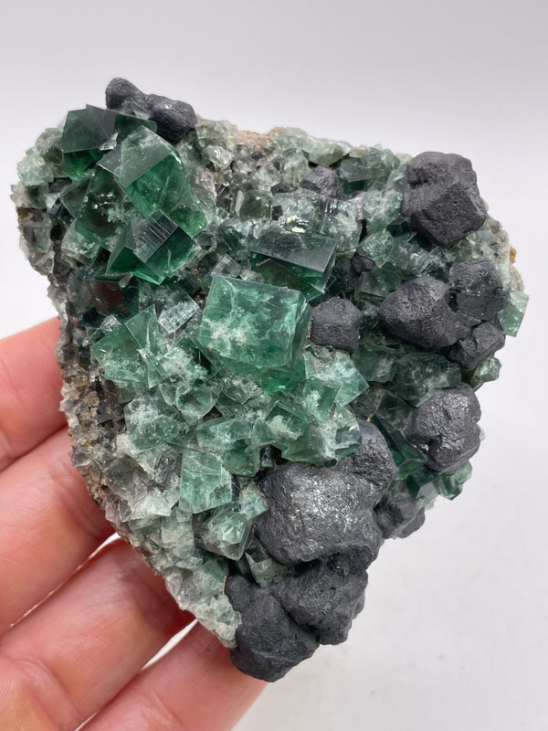 UK Fluorite with Galena from the Greedy Hog Pocket, Diana Maria Mine, England