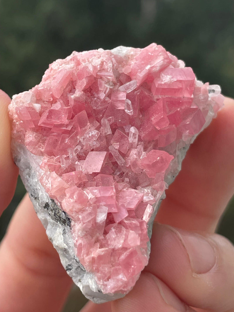 Rhodochrosite on Quartz from the Sweet Home mine, Alma, Colorado, USA