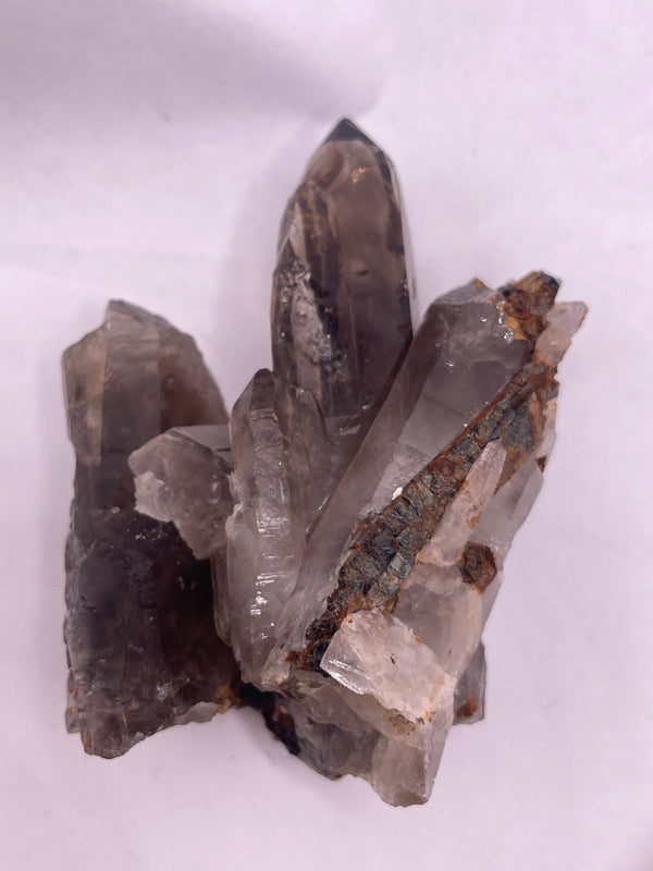 Starshinecrystal6/elizalaganas