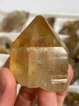 Kundalini Citrine Wholesale Flat 24 pieces from Democratic Republic of Congo