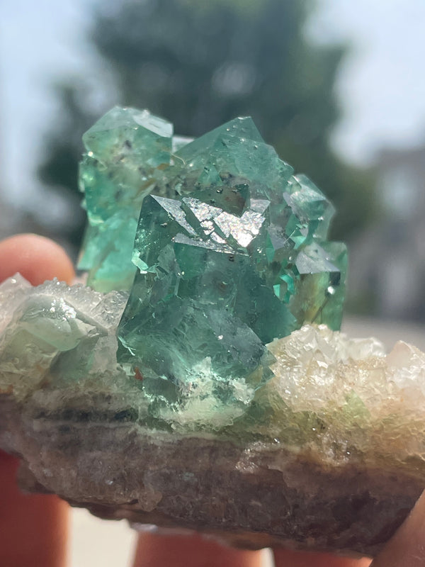 Orange River Fluorite from Riemvasmaak South Africa