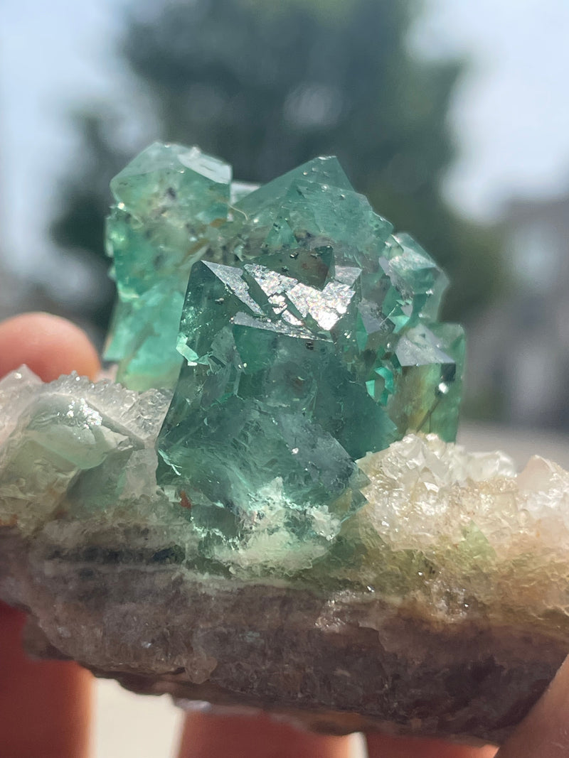 Orange River Fluorite from Riemvasmaak South Africa