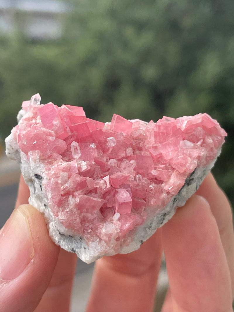 Rhodochrosite on Quartz from the Sweet Home mine, Alma, Colorado, USA