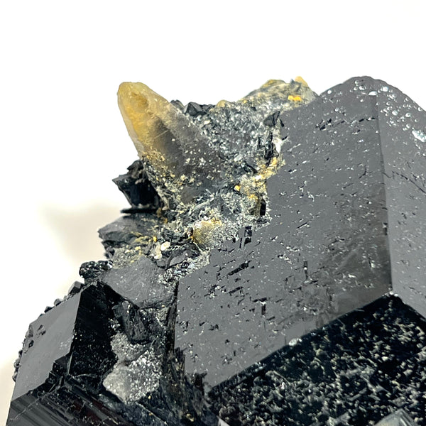 Black Tourmaline Crystal with Smoky Quartz from Erongo Mountain, Erongo Region, Namibia