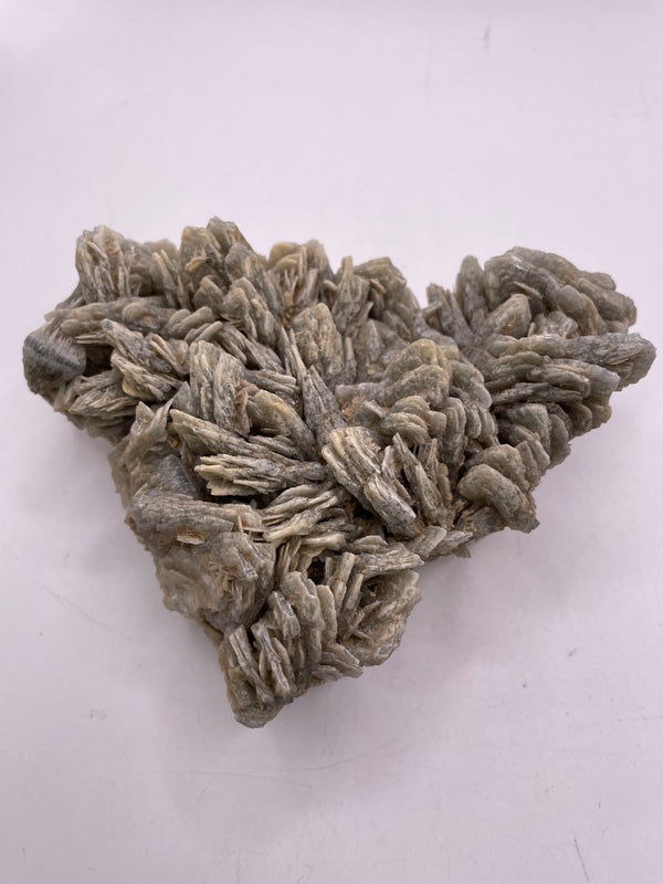 lynnedorr616