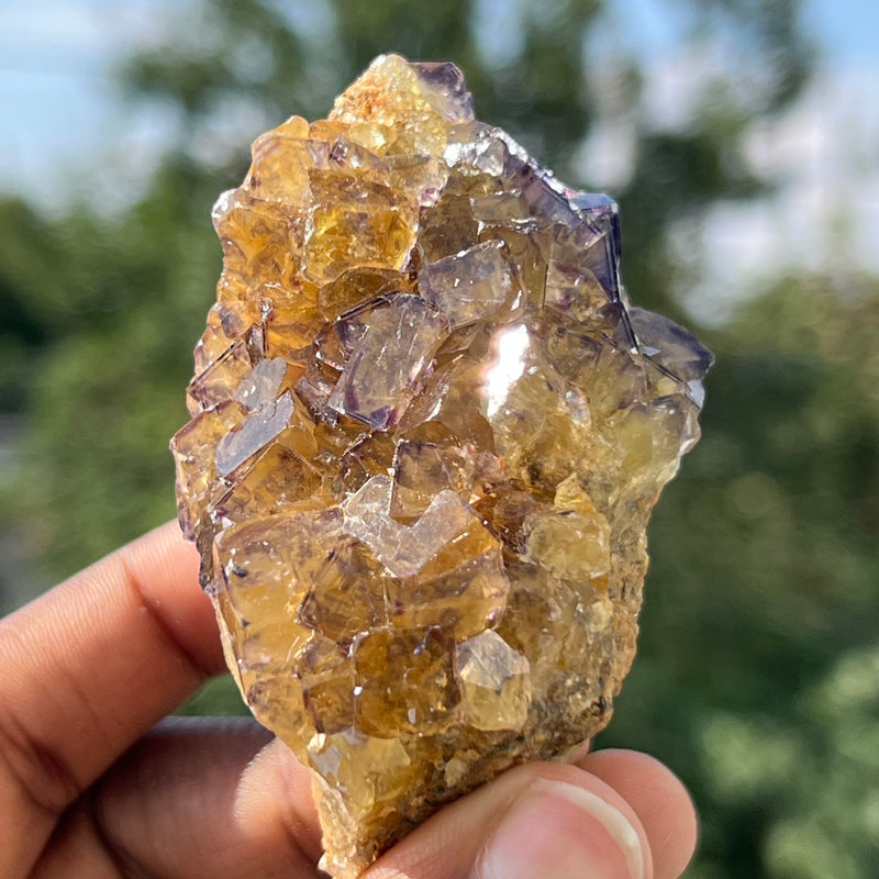 Yellow & Purple Fluorite, Okorusu Mine, Otjiwarongo Region, Karibib District, NAMIBIA