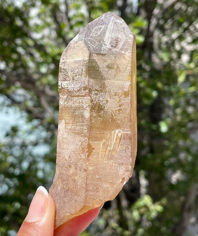 Citrine-Quartz-From-Mansa-Zambia-Citrine-Point-10-9-cm