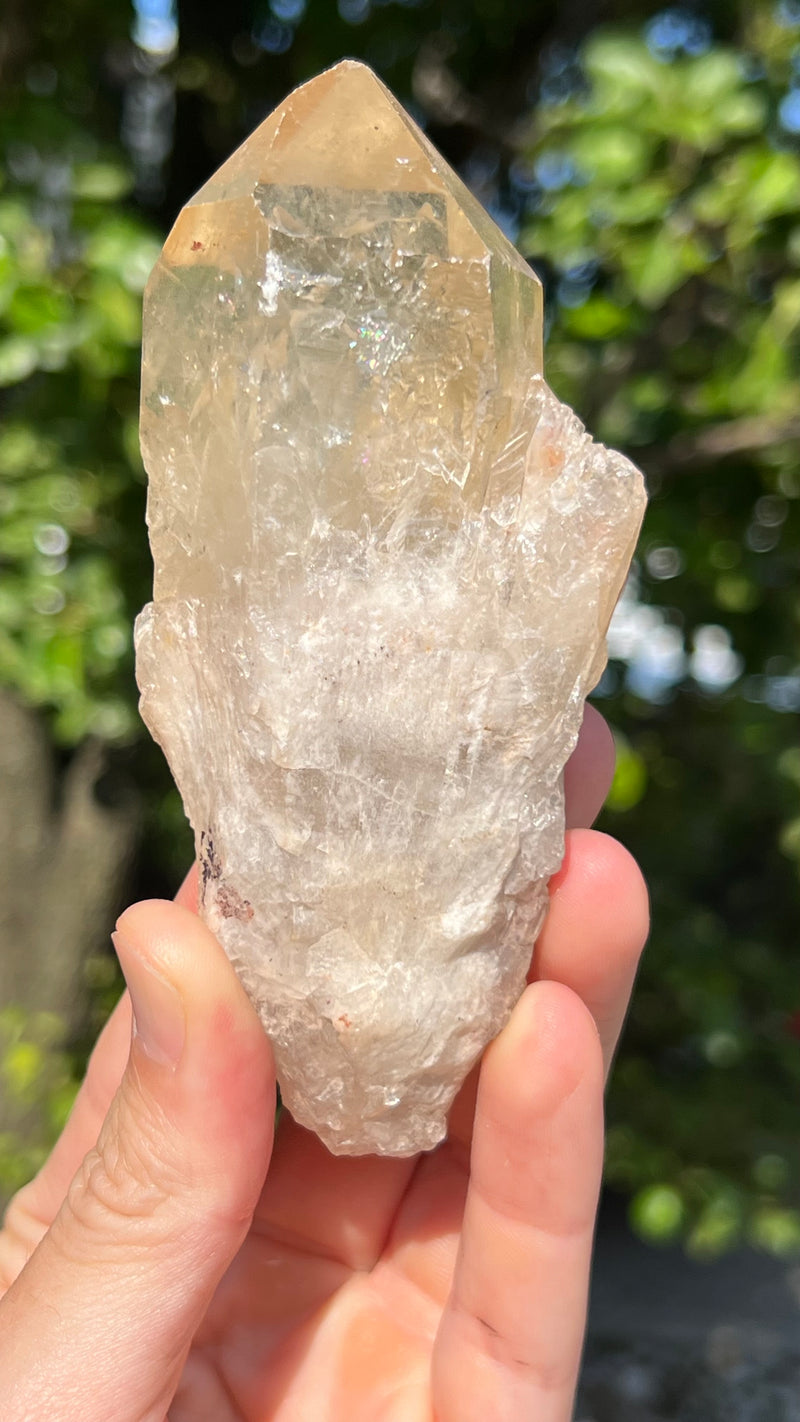 Kundalini Citrine Wholesale Flat 12 pieces from Democratic Republic of Congo