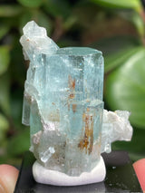 Aquamarine Specimen Cluster with Feldspar from Erongo Mountain, Erongo Region, Namibia